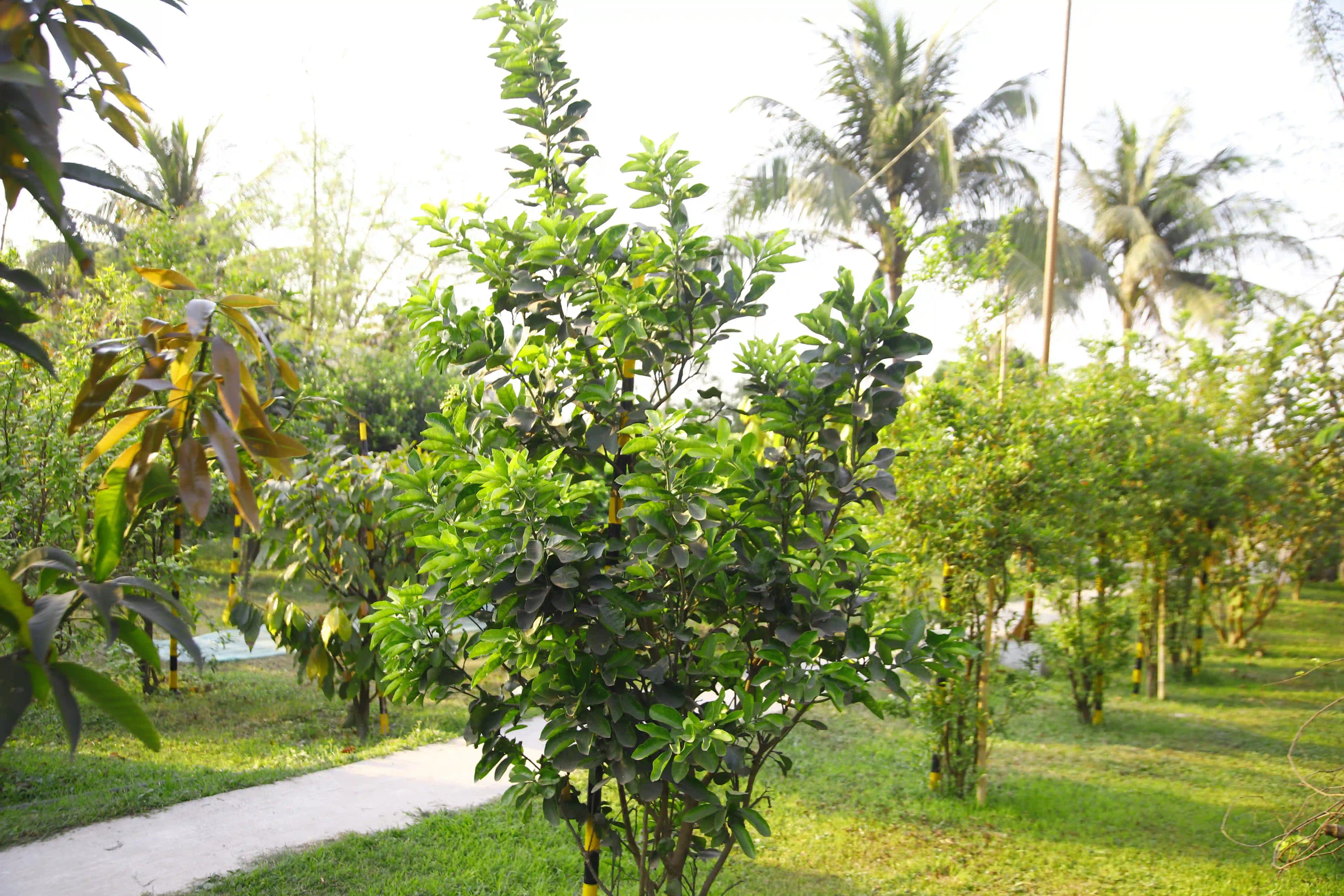 Garden Home
